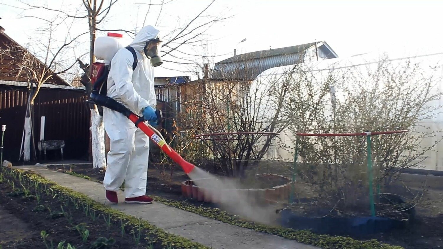 ФОТО Уничтожение муравьёв в Артеме