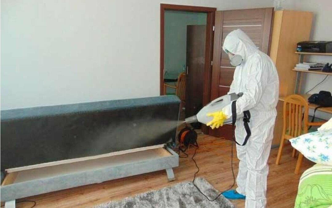 ФОТО Уничтожение блох в Артеме