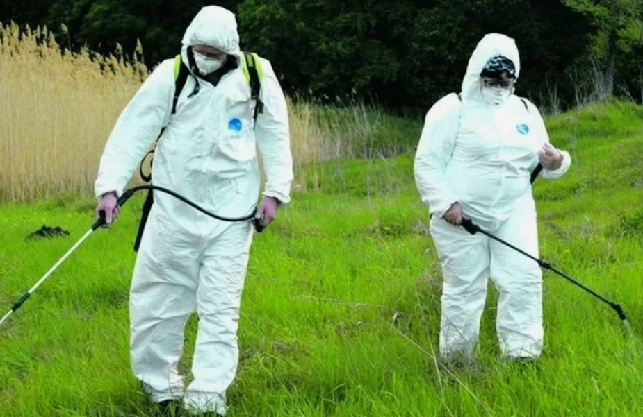 ФОТО Обработка от клещей в Артеме