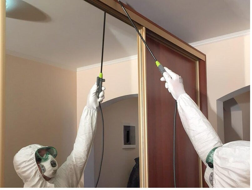 ФОТО Обработка от моли в Артеме