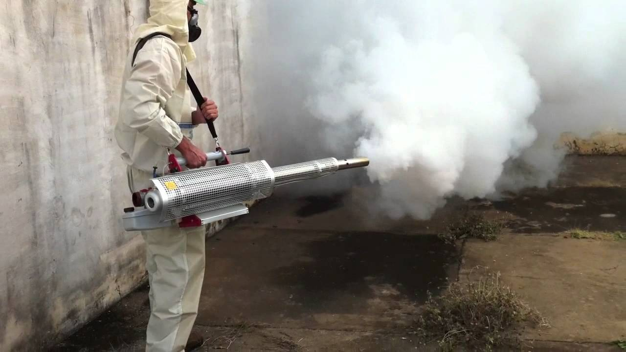 ФОТО Уничтожение мух в Артеме