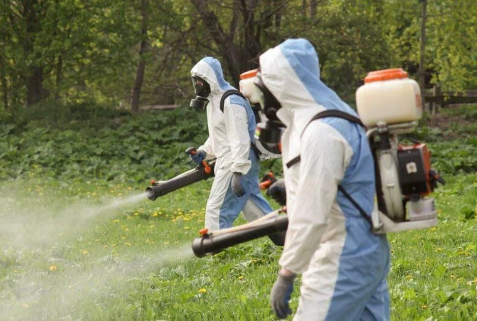 ФОТО Что такое дезинсекция в Артеме? | подробно