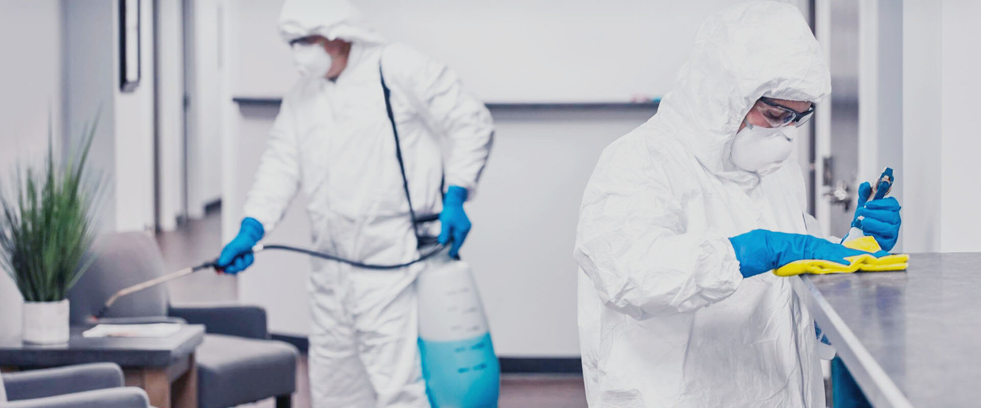 ФОТО В чем разница между дезинфекцией и дезинсекцией в Артеме? | подробно