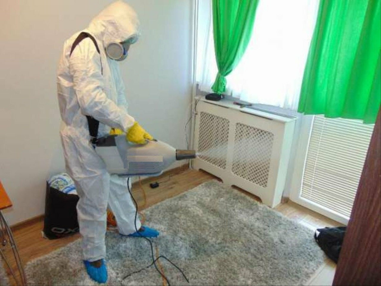 ФОТО Сколько времени занимает обработка при дезинсекции в Артеме? | подробно
