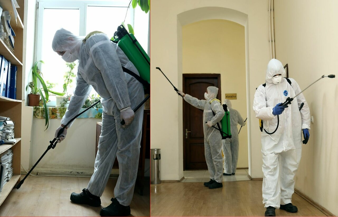 ФОТО Требуется ли лицензия для дезинсекции и дезинфекции в Артеме? | подробно