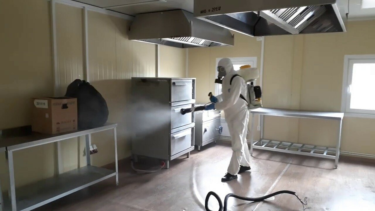 ФОТО Можно ли провести дезинсекцию самостоятельно и какие существуют риски в Артеме? | подробно