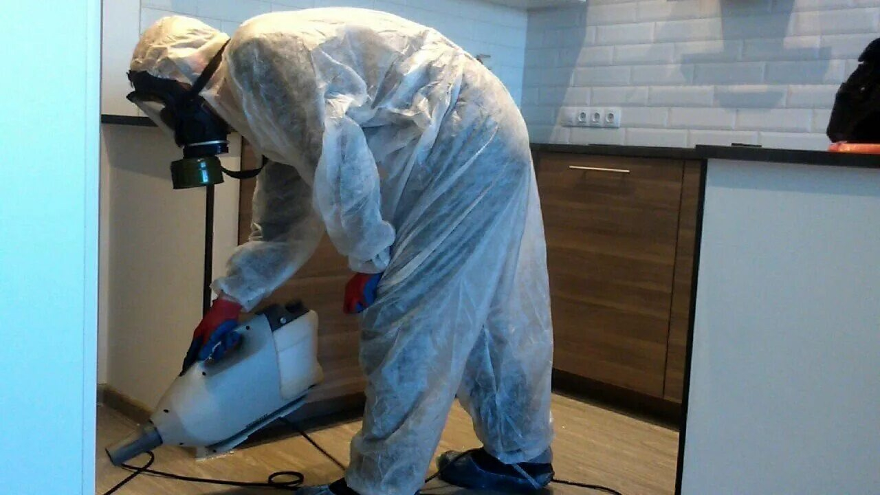 ФОТО Как подготовить домашних животных к обработке от насекомых в Артеме? | подробно