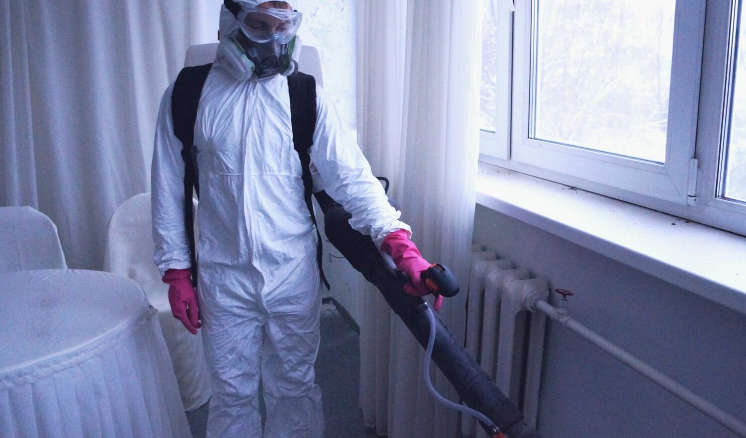 ФОТО Нужно ли выносить растения при дезинсекции в Артеме? | подробно