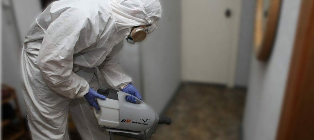 ФОТО Остаются ли следы после обработки квартиры от насекомых в Артеме? | подробно