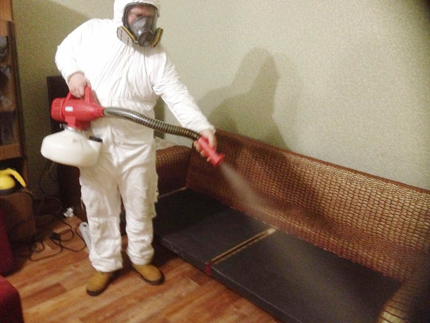 ФОТО Когда можно вернуться в помещение после дезинсекции в Артеме? | подробно