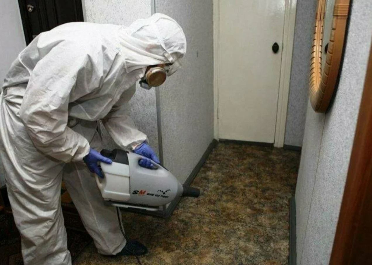 фото: Профессиональная дезинсекция в Артеме: <br/>+7-909-173-42-96